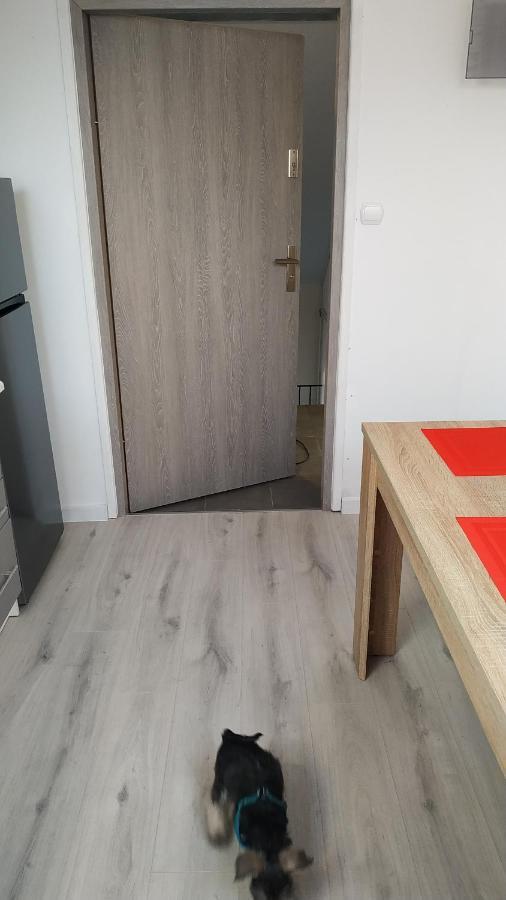 Apartament Witkacego Zielony Słupsk Exteriér fotografie