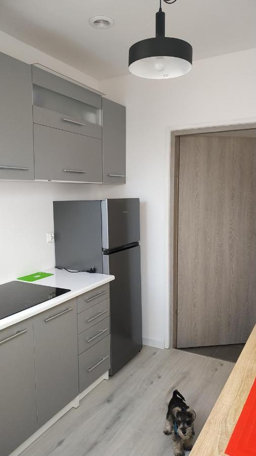 Apartament Witkacego Zielony Słupsk Exteriér fotografie